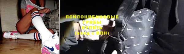 дживик Абинск