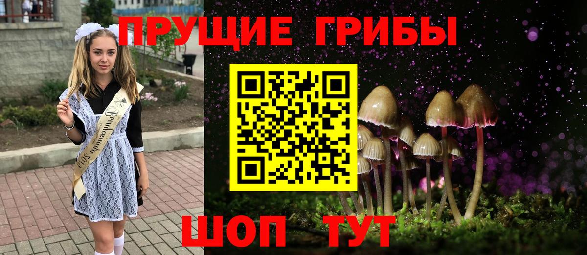 Галлюциногенные грибы Cubensis Симферополь